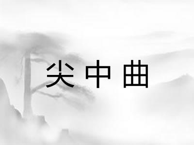 尖中曲