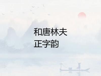 和唐林夫正字韵