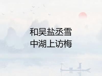 和吴盐丞雪中湖上访梅四首