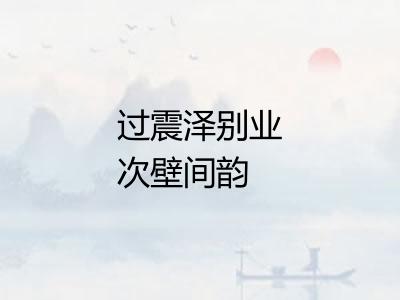 过震泽别业次壁间韵