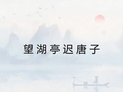 望湖亭迟唐子