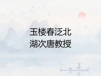 玉楼春泛北湖次唐教授韵