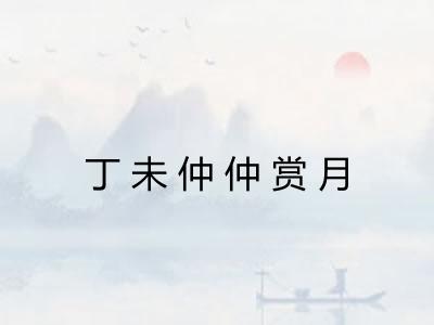 丁未仲仲赏月