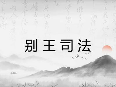 别王司法