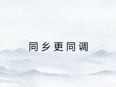 同乡更同调