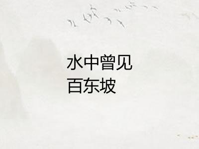 水中曾见百东坡