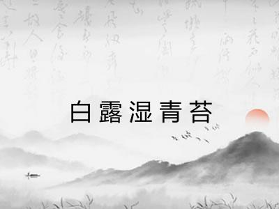 白露湿青苔