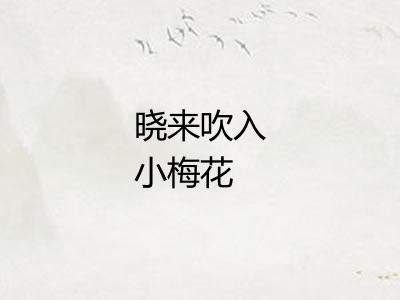 晓来吹入小梅花