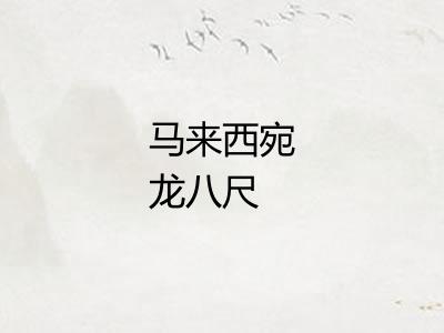 马来西宛龙八尺