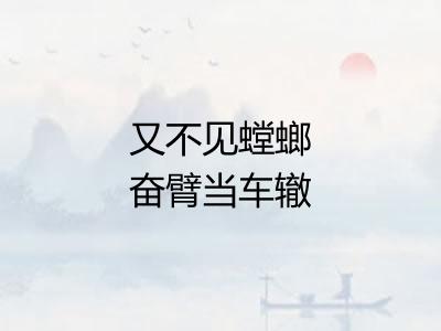 又不见螳螂奋臂当车辙