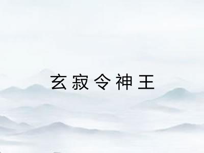 玄寂令神王