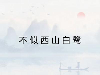 不似西山白鹭