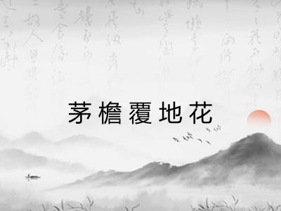 茅檐覆地花