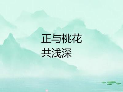 正与桃花共浅深