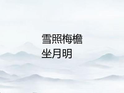 雪照梅檐坐月明