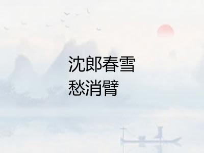 沈郎春雪愁消臂