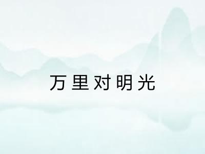 万里对明光