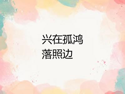 兴在孤鸿落照边