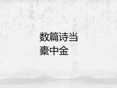 数篇诗当橐中金